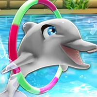 My Dolphin Show My Dolphin Show
