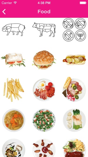 Screenshot ICOON global picture dictionary on iPhone