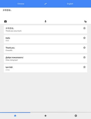 Screenshot Google Translate on iPad