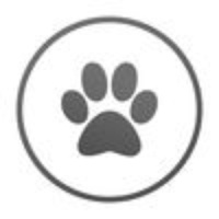 Talk to Cat Talk to Cat