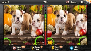 Screenshot What’s the Difference? on iPhone