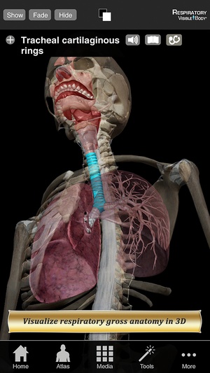 Screenshot Respiratory Anatomy Atlas: Essential Reference for Students and Healthcare Professionals on iPhone
