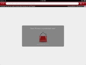 Screenshot Covert Browser on iPad