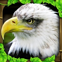 Eagle Simulator Eagle Simulator