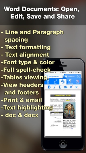 Screenshot iDocs for Office Word Documents & PDF Annotation & Forms on iPhone