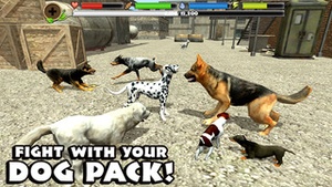 Screenshot Stray Dog Simulator on iPhone