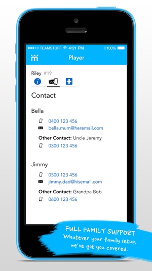 Screenshot Teamstuff on iPhone