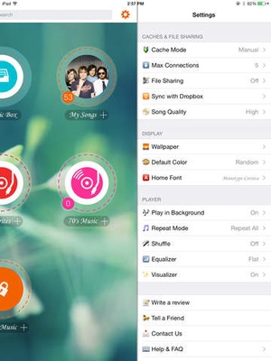 Screenshot Music Plus on iPad