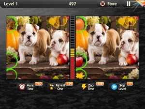 Screenshot What’s the Difference? on iPad