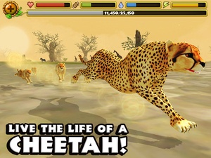 Screenshot Cheetah Simulator on iPad