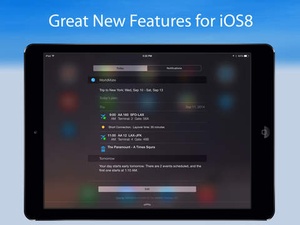 Screenshot WorldMate on iPad