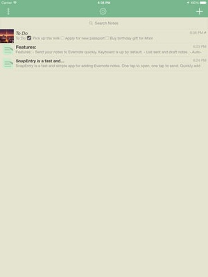 Screenshot SnapEntry on iPad