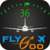 Flight Instrument Flight Instrument