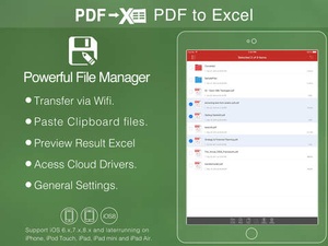 Screenshot PDF to Excel on iPad