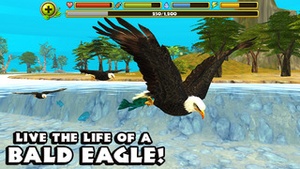 Screenshot Eagle Simulator on iPhone