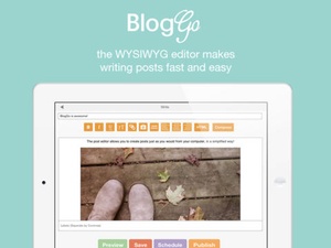 Screenshot BlogGo for Blogger on iPad