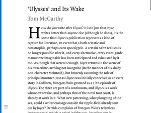Screenshot London Review of Books on iPad