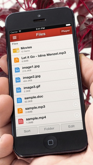 Screenshot AwesomeDo Pro Smart Player Plus on iPhone