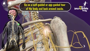 Screenshot My Incredible Body on iPhone