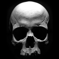 Sons of Anarchy: The Prospect Sons of Anarchy: The Prospect