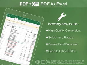 Screenshot PDF to Excel on iPad