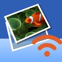 Wireless Transfer App Wireless Transfer App