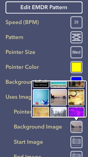 Screenshot The EMDR Helper on iPhone
