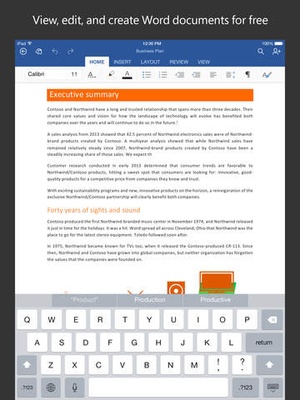 Screenshot Microsoft Word on iPad