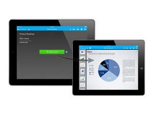 Screenshot Cisco WebEx Meetings on iPad