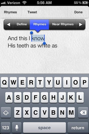 Screenshot Verses notebook + rhyming dictionary on iPhone