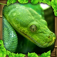Snake Simulator Snake Simulator