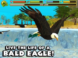 Screenshot Eagle Simulator on iPad