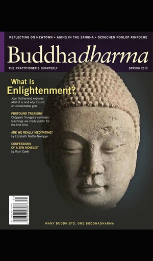Screenshot Buddhadharma Journal on iPhone