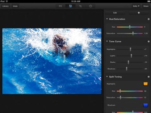 Screenshot Luminance on iPad