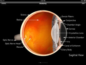 Screenshot Sight Selector Lite on iPad