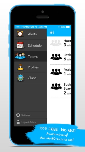 Screenshot Teamstuff on iPhone