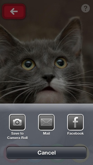 Screenshot My Talking Pet on iPhone