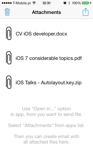 Screenshot Multiple Attachments on iPhone