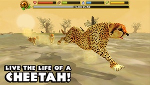 Screenshot Cheetah Simulator on iPhone