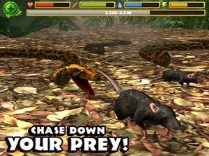 Screenshot Snake Simulator on iPad