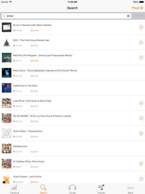 Screenshot Music D/L on iPad
