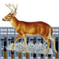 Deer Call Mixer Deer Call Mixer