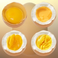 The perfect Egg timer The perfect Egg timer