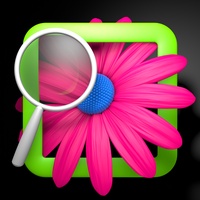 PicFind PicFind