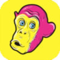 Report Monkey for Pages Report Monkey for Pages