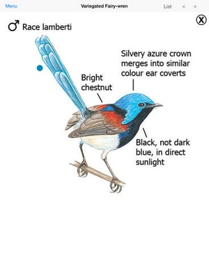 Screenshot The Michael Morcombe and David Stewart eGuide to the Birds of Australia on iPad