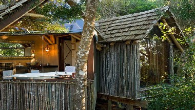 The Phantom Forest Eco Reserve