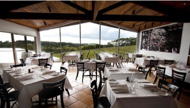 Motswari Private Game Reserve