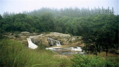 Limpopo Tourism Agency