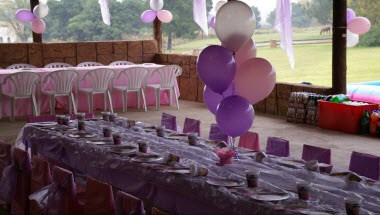 Kinglets &amp; Queenies